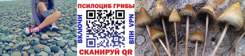 Псилоцибиновые грибы GOLDEN TEACHER  omg tor  Ковров 